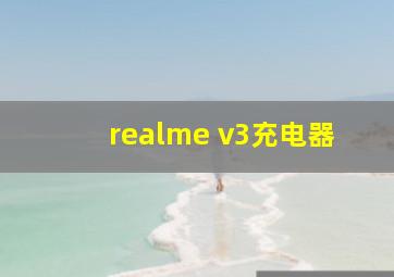 realme v3充电器